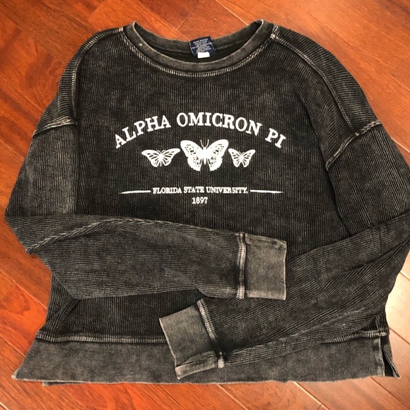 ALPHA OMICRON PI Gray Weathered Ribbed Sweatshirt Large FSU - Picture 1 of 9